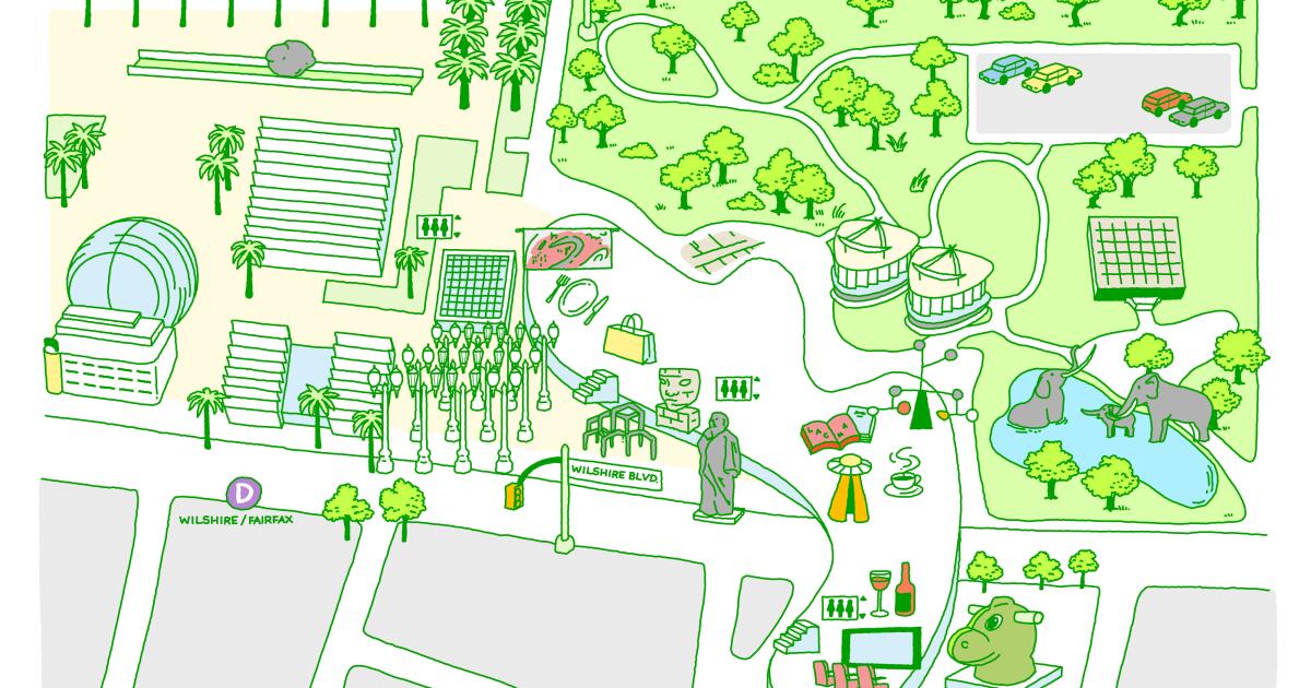 Galerie LACMA David Geffen Plan : café, bar à vin, art Koons