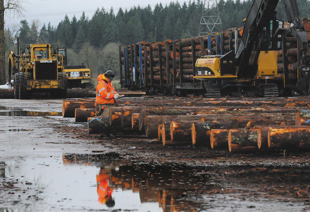 After a late-year rally, lumber futures are expected to tumble in 2013, according to Forest Economic Advisors LLC, a Massachusetts-based consulting firm. Above, a lumber yard in Oregon.