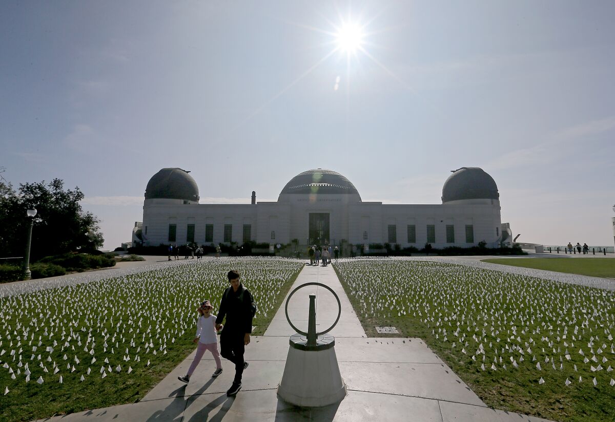 A flag memorial to victims of COVID-19 covers the lawn of the Griffith Observatory 