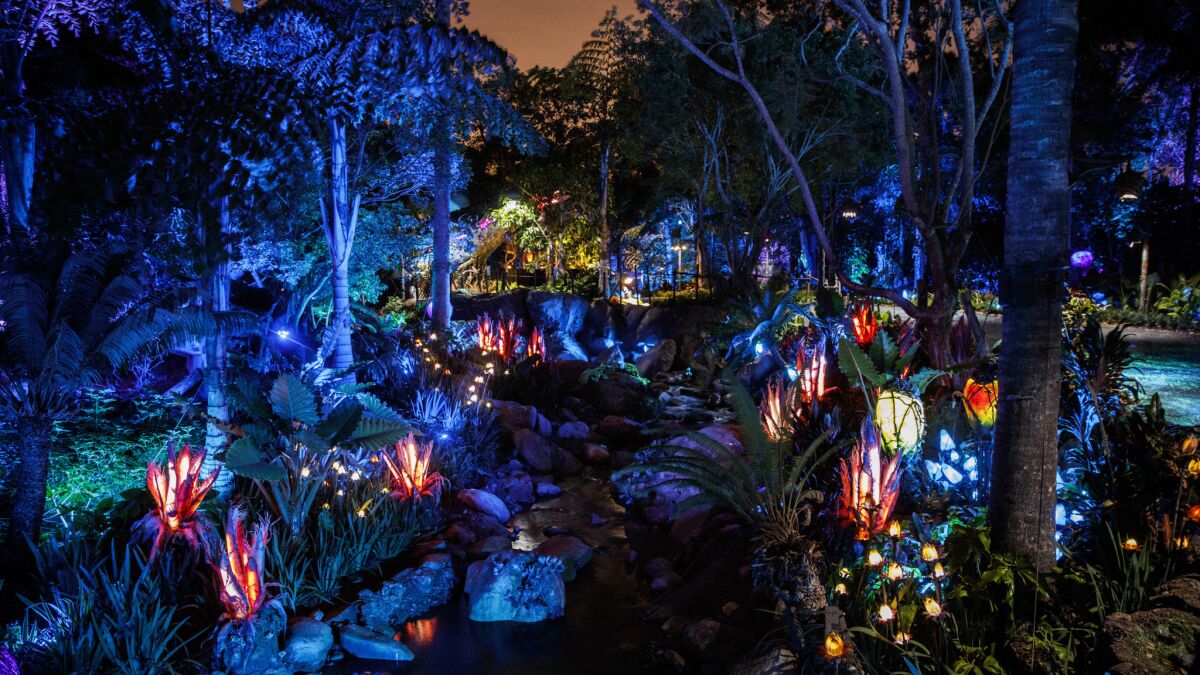 Pandora nature at night. (Jay L. Clendenin / Los Angeles Times)