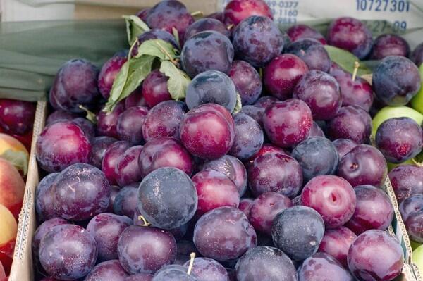 Burgundy plums
