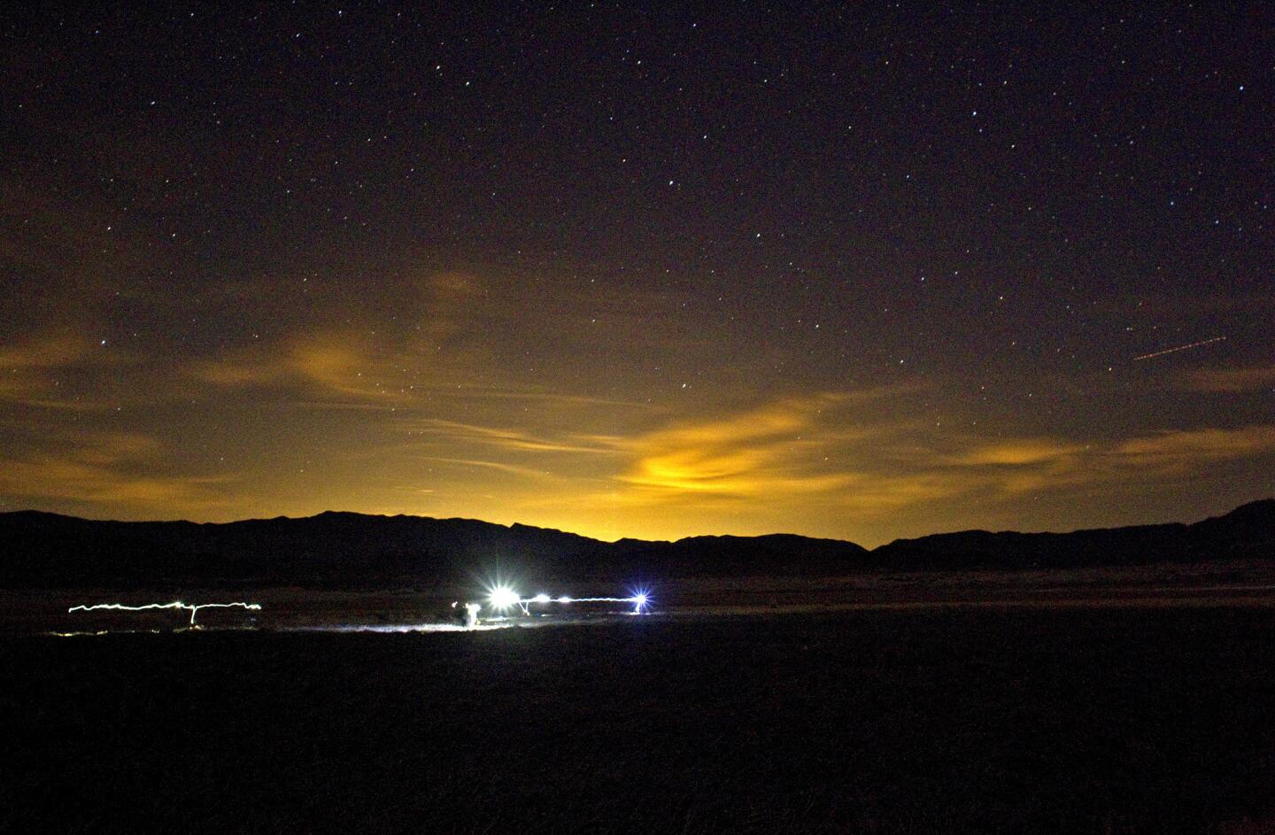 Under gleaming stars, Janet Foley, an epidemiology professor at UC Davis' School of Veterinary Medicine, leads a team of scientists wearing headlamps through the marshlands of the Mojave Desert to check live traps set to catch the Amargosa vole.
