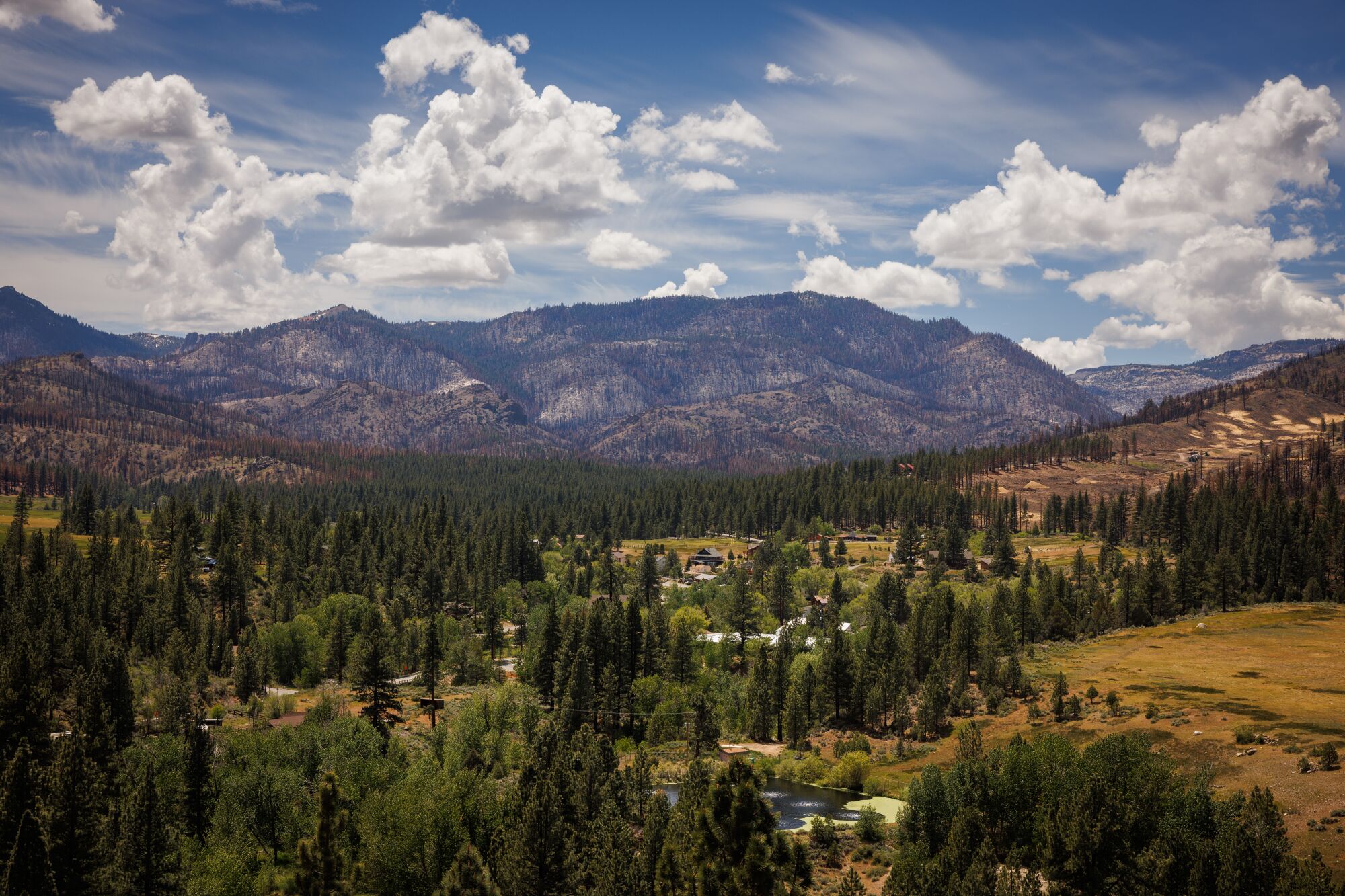 Several buildings scattered in the distance among evergreens, with mountains in in the background