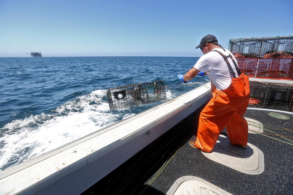Dan McCafferty drops shrimp cages back into the Pacific Ocean after retrieving a load of shrimp while fishing in the Pacific Ocean west of Huntington Beach last year.