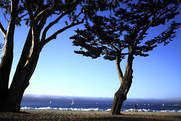 Monterey State Beach