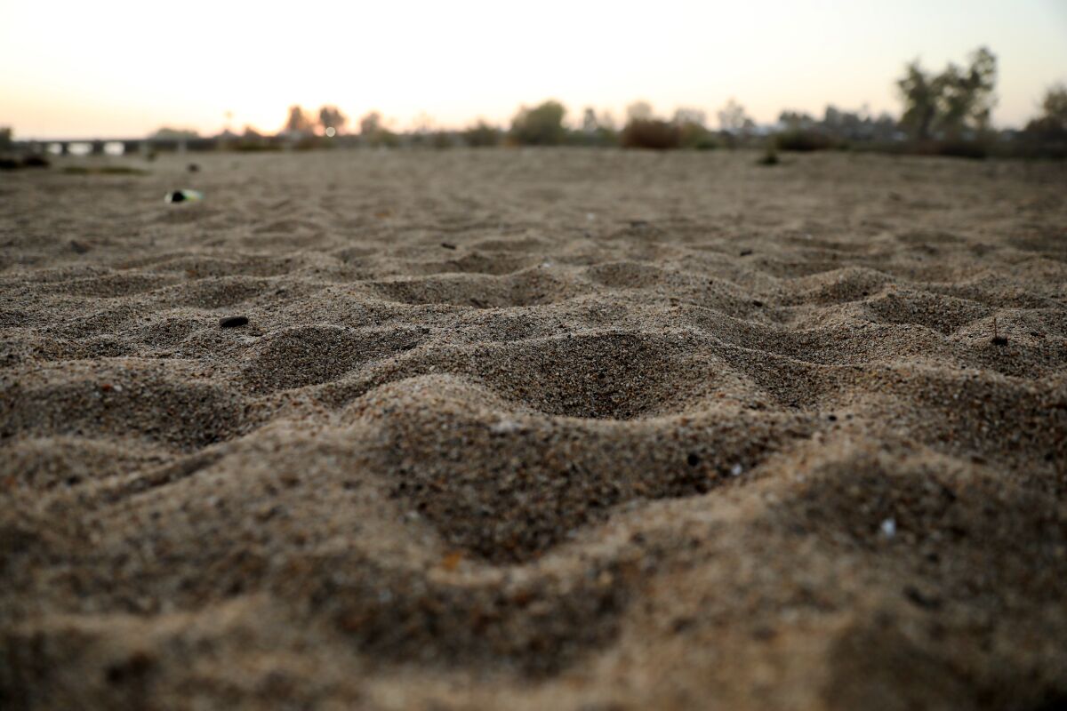 A closeup of sandy ground.