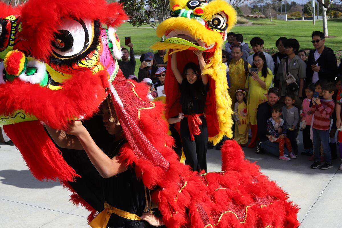 The lion dance performed by the Shengai Dance group at the Fountain Valley Recreation Center.