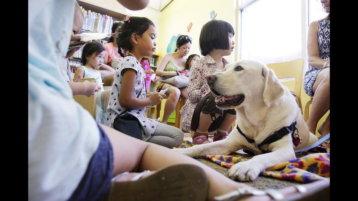 Photo Gallery: Children read to therapy dog at Montrose Library