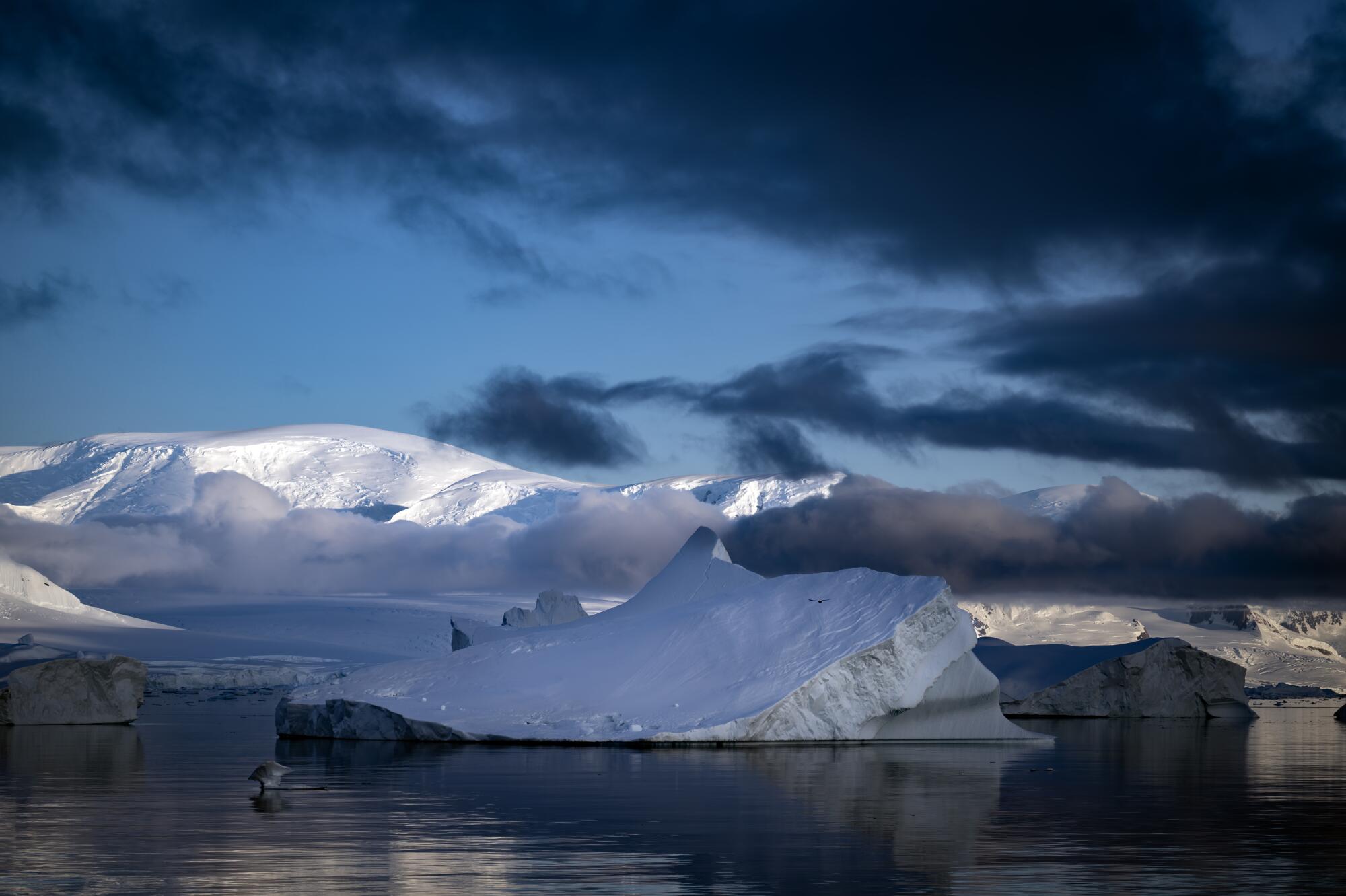 Antarctic ice.