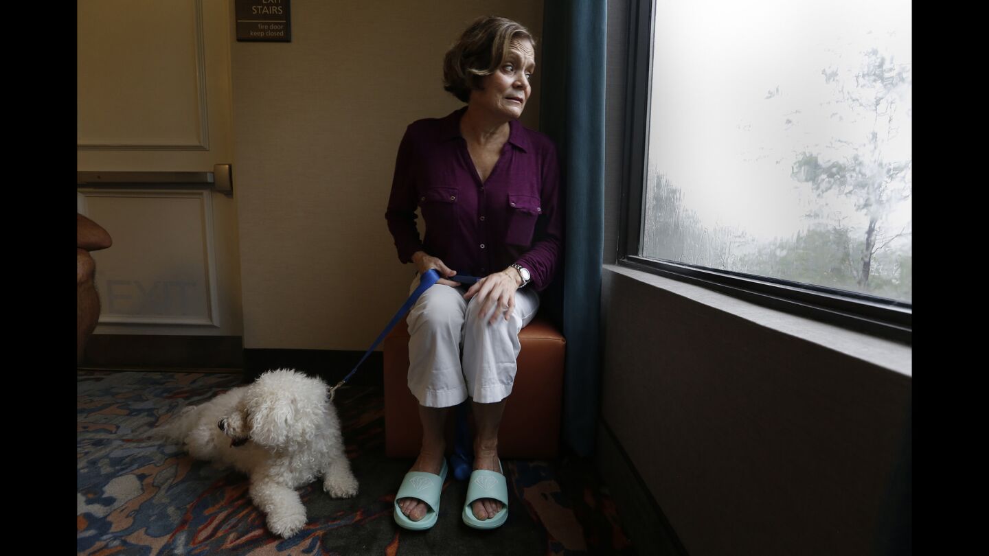 Maria Koenig, 63, of Estero, Fla., and her dog, Baeley, sit by the window at their Estero hotel so Maria can keep an eye on the storm on Sunday.