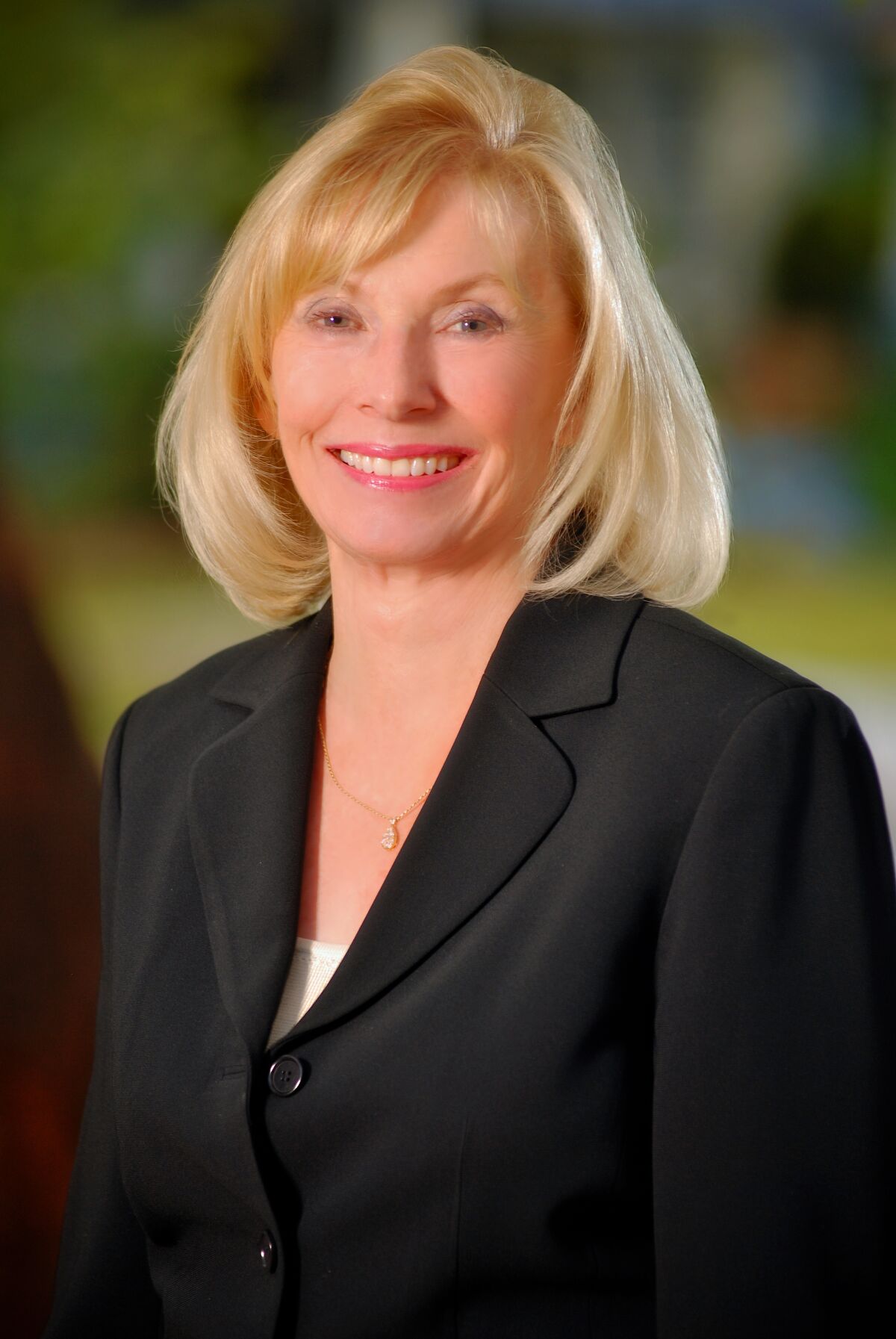 Sandra Johnson was selected as the new director for the Santa Fe Irrigation District board.