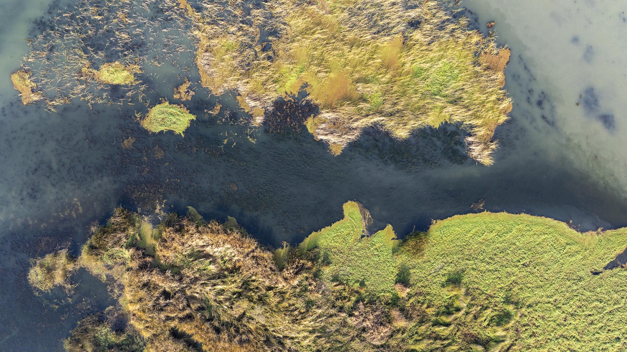Aerial view of islands at Big Break on the San Joaquin River.