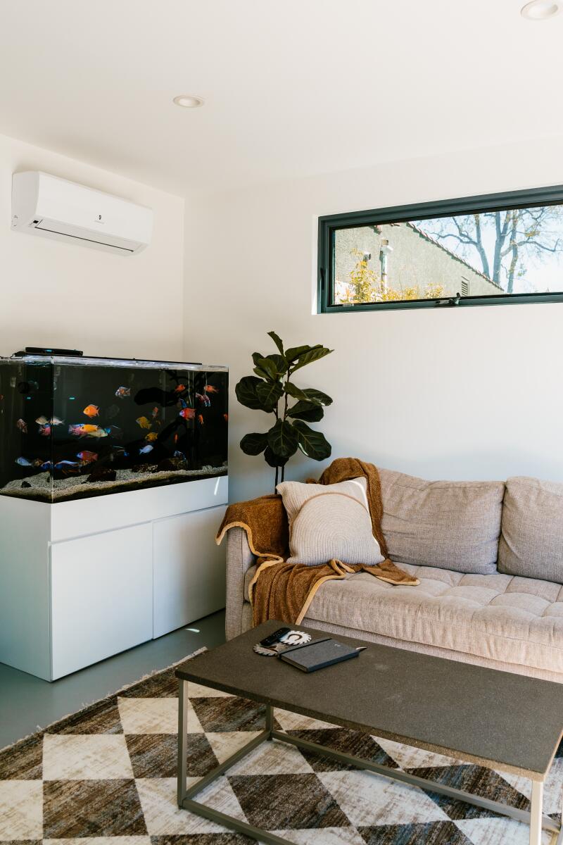 An aquarium next to a couch in an ADU