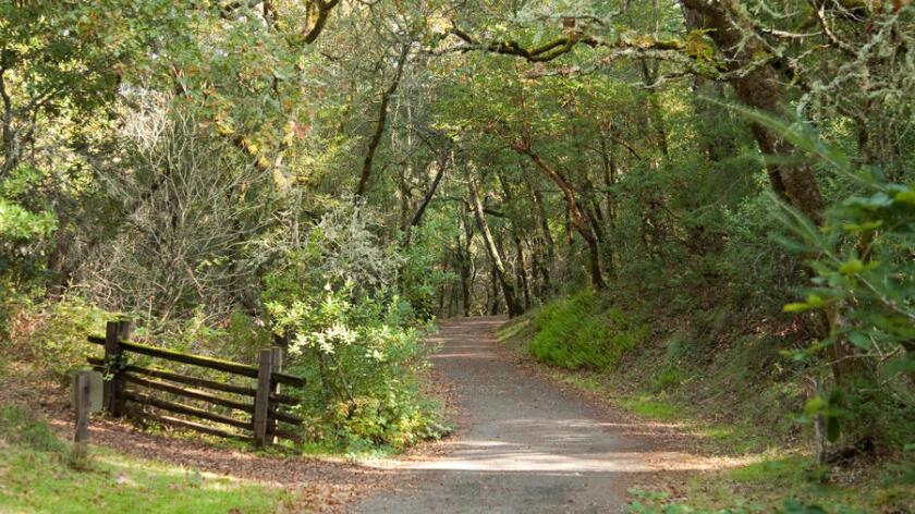 The orchard at Jack London State Historic Park in 2015.