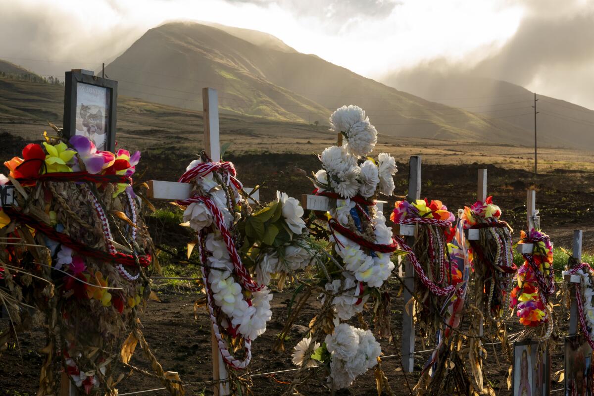 Leis, crosses and other memorials with mountains in the background.