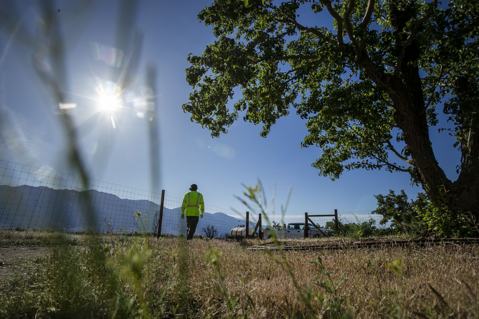 A man walks past a tree toward a work truck on the other side of a wire fence under bright sun with mountains in the distance