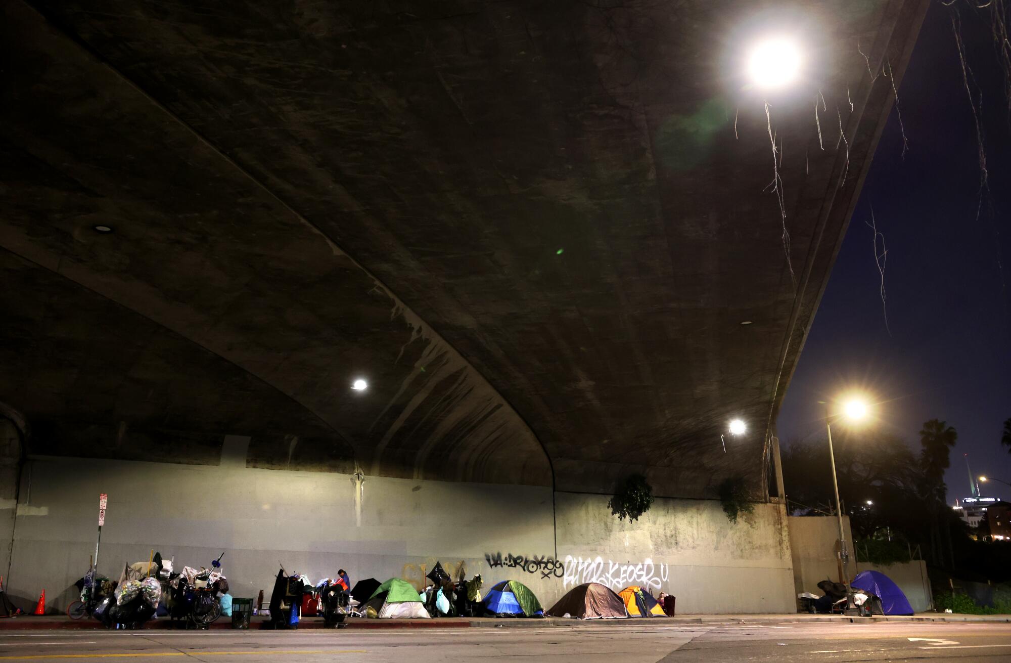 A homeless encampment under the 101 Freeway on Cahuenga Boulevard in Hollywood.