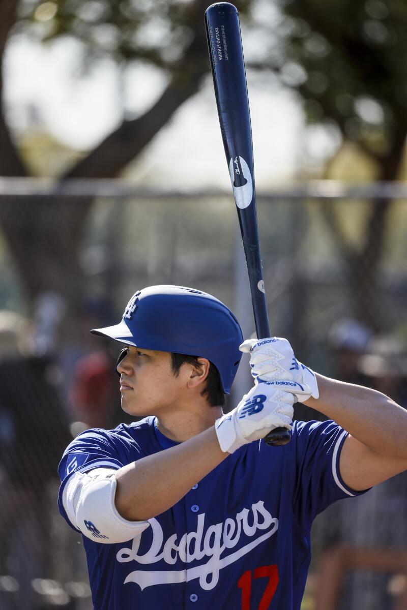 Dodgers DH Shohei Ohtani stands in the batter's box during a practice session.