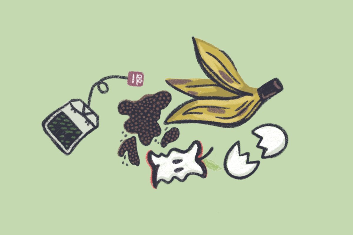 Illustration of things to compost, including an eggshell, banana peel, apple core and tea bag.