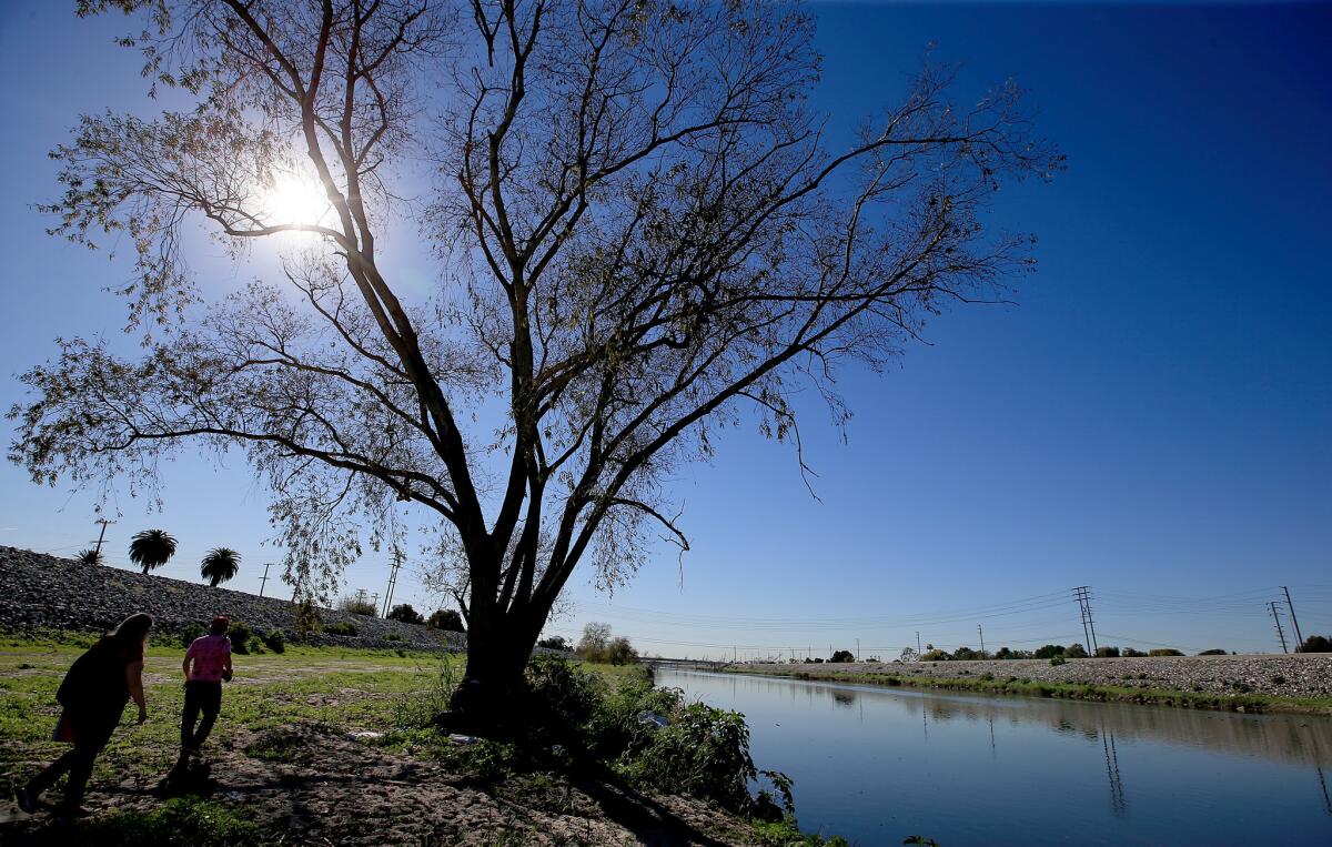 William Bowling and Deborah Jones, of the conservation group Friends of the L.A. River, walk past a lone tree along the river in Long Beach. To prevent flooding, L.A. County clears vegetation along the river every year, but environmentalists are hoping to halt that process.