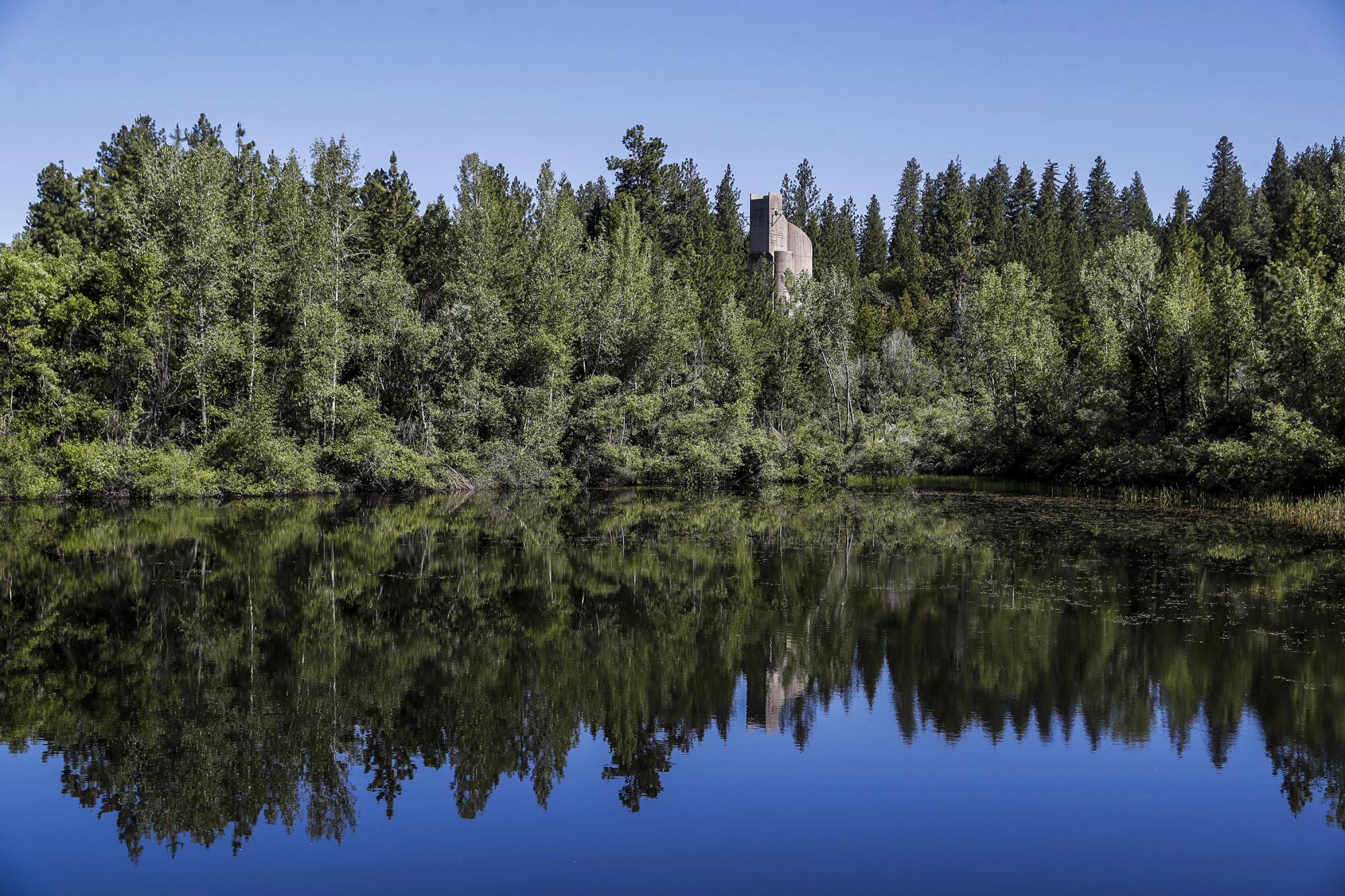 Trees are reflected a blue lake 