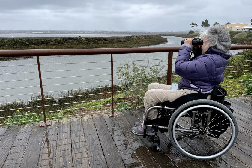 Birdability founder Virginia Rose can see over these railings! Bayside Birding and Walking Trail, San Diego NWR. Photo by Freya McGregor.