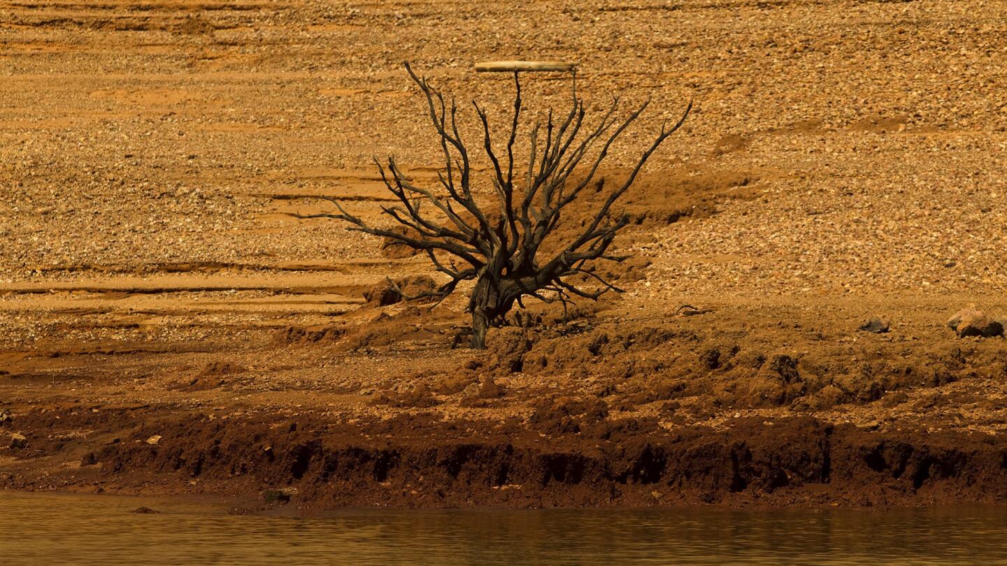 On Assignment: Focusing on the effects of California's persistent drought