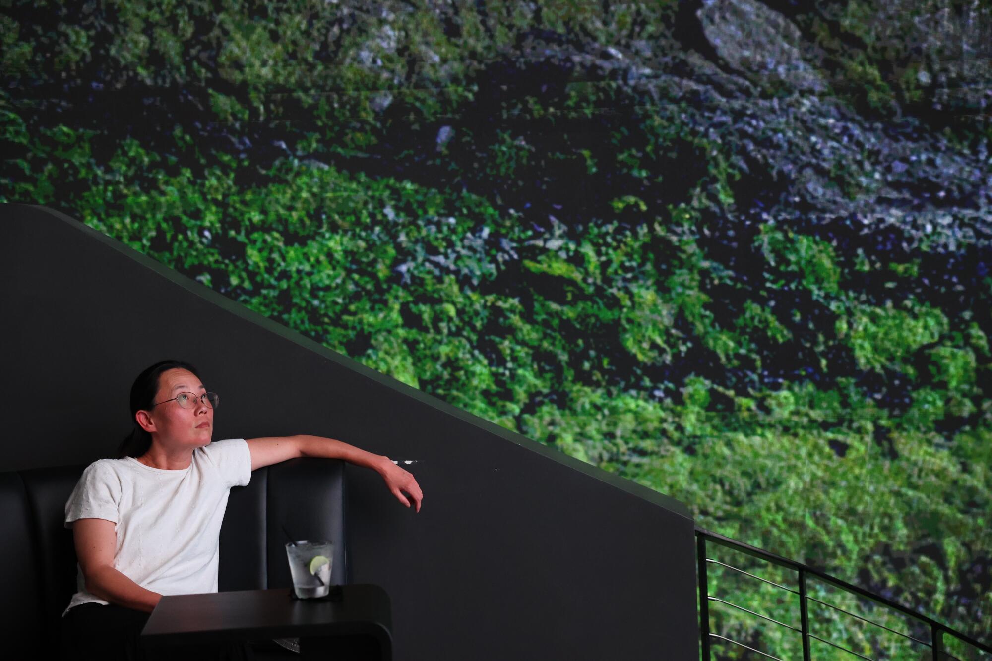 A person sits in a seat next to a screen showing an image of tree roots and low-growing plants