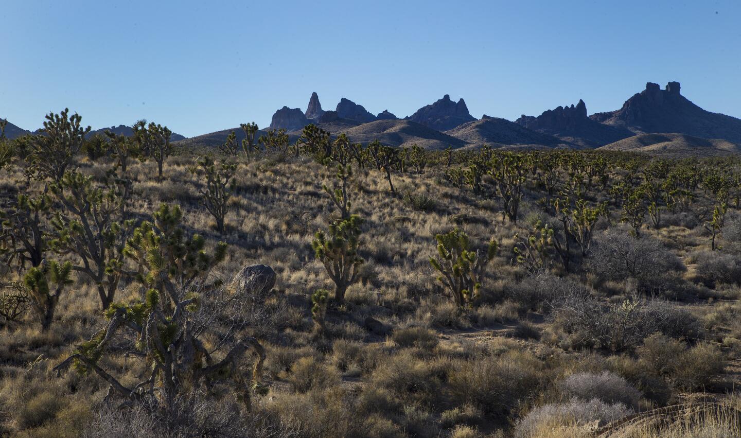 New national monument land