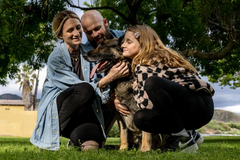 The Bauer family, Trish, 34, Josh,36, and Lily,10, with their rescued German shepherd Cooper   in San Bernardino
