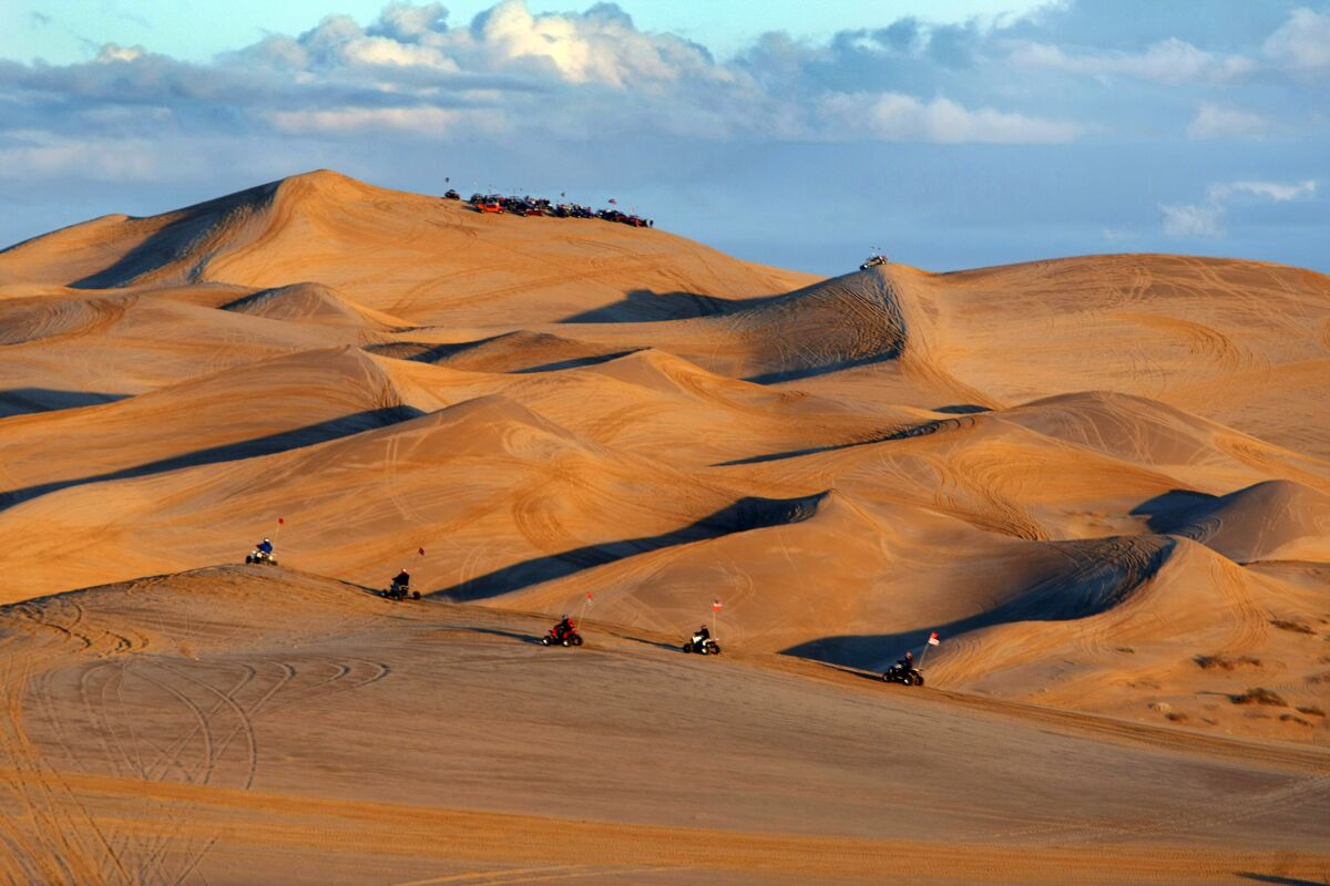 Off–road enthusiasts race across the Imperial Sand Dunes at sunset.