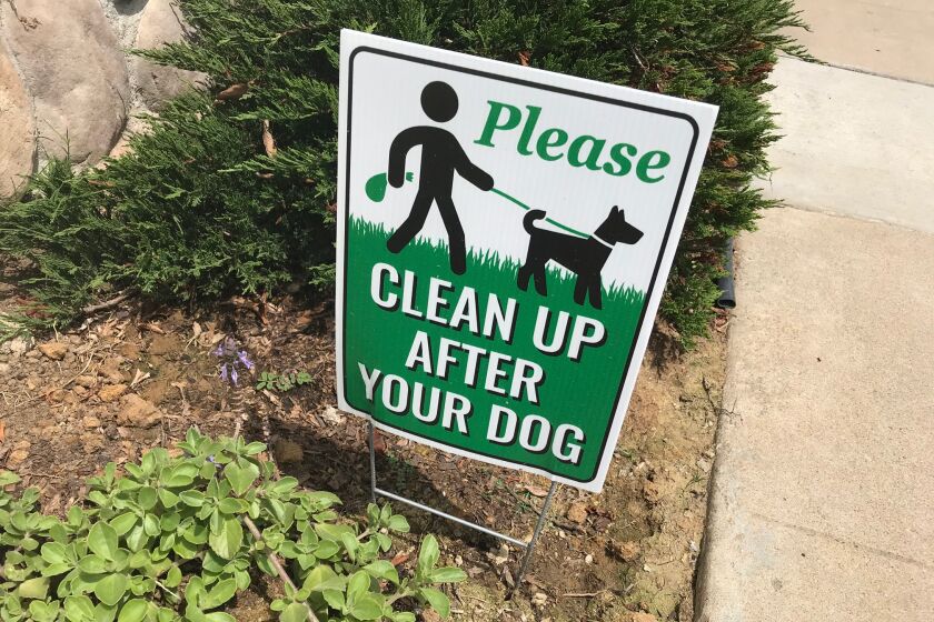 Dog Poop Wars are a continuing theme on neighborhood social media.