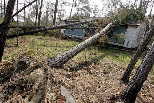 A home in Vancleave, Miss. still lies under several trees, more than two weeks after Hurricane Katrina hit the Gulf Coast. Help has been scarce for residents who live in this rural community.