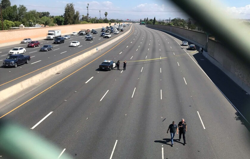 A row of investigators walk up the lanes of a closed freeway.