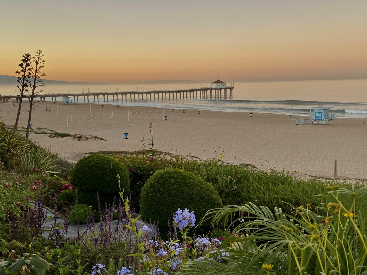 A beach at sunrise with a pier in the distance and green plant life in the foreground.