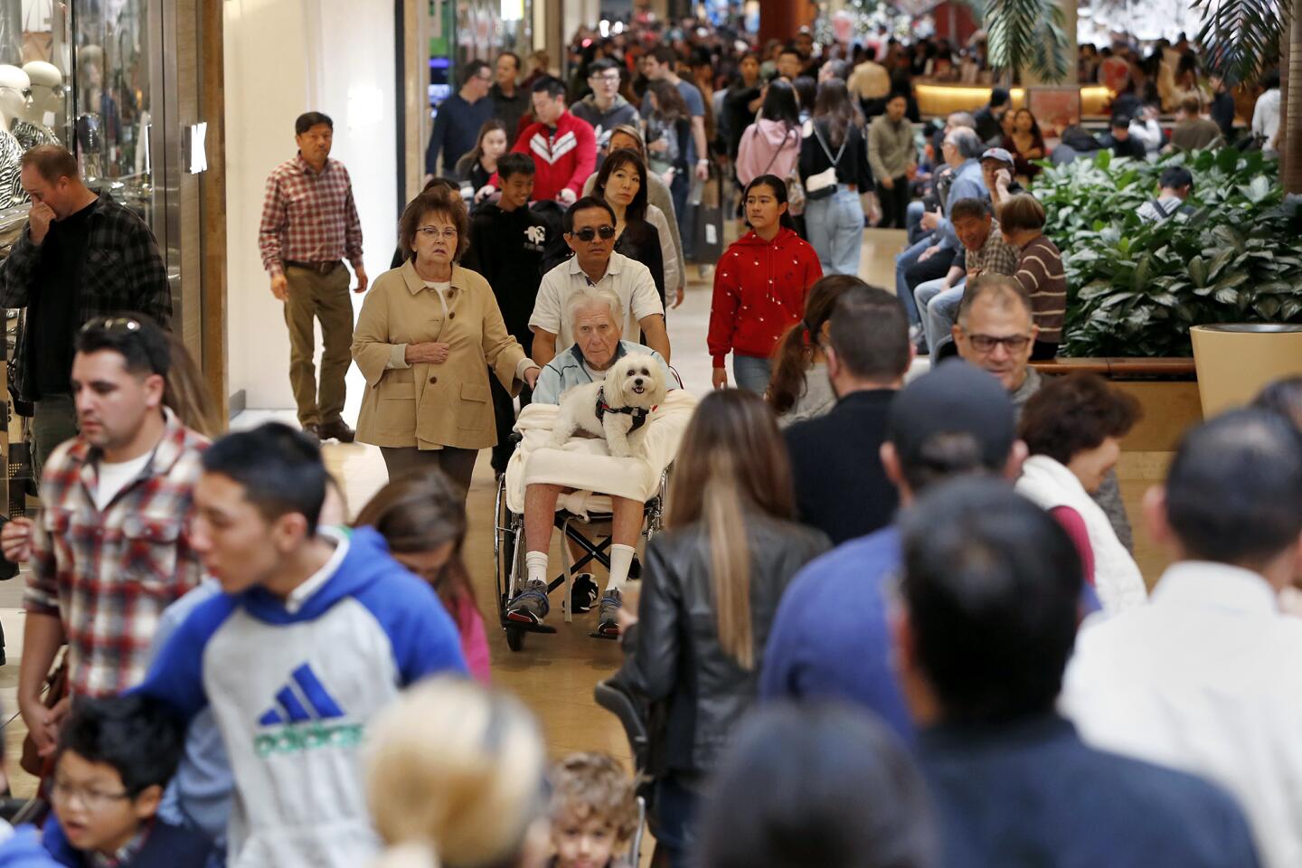 Power outage delays, but doesn't deter Black Friday shoppers at South Coast  Plaza - Los Angeles Times