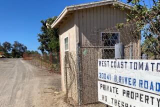 West Coast Tomato houses hundreds of seasonal workers at this North River Road location, but the lease ends in January.