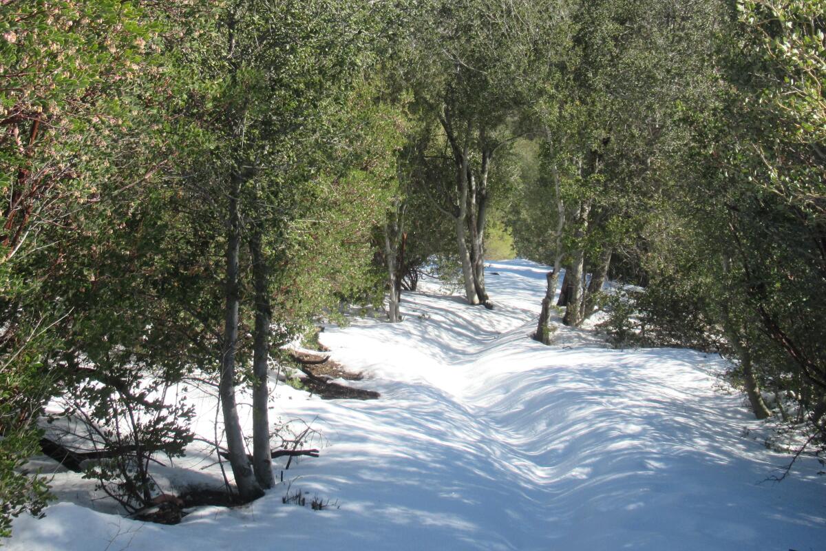 Cold Stream Trail