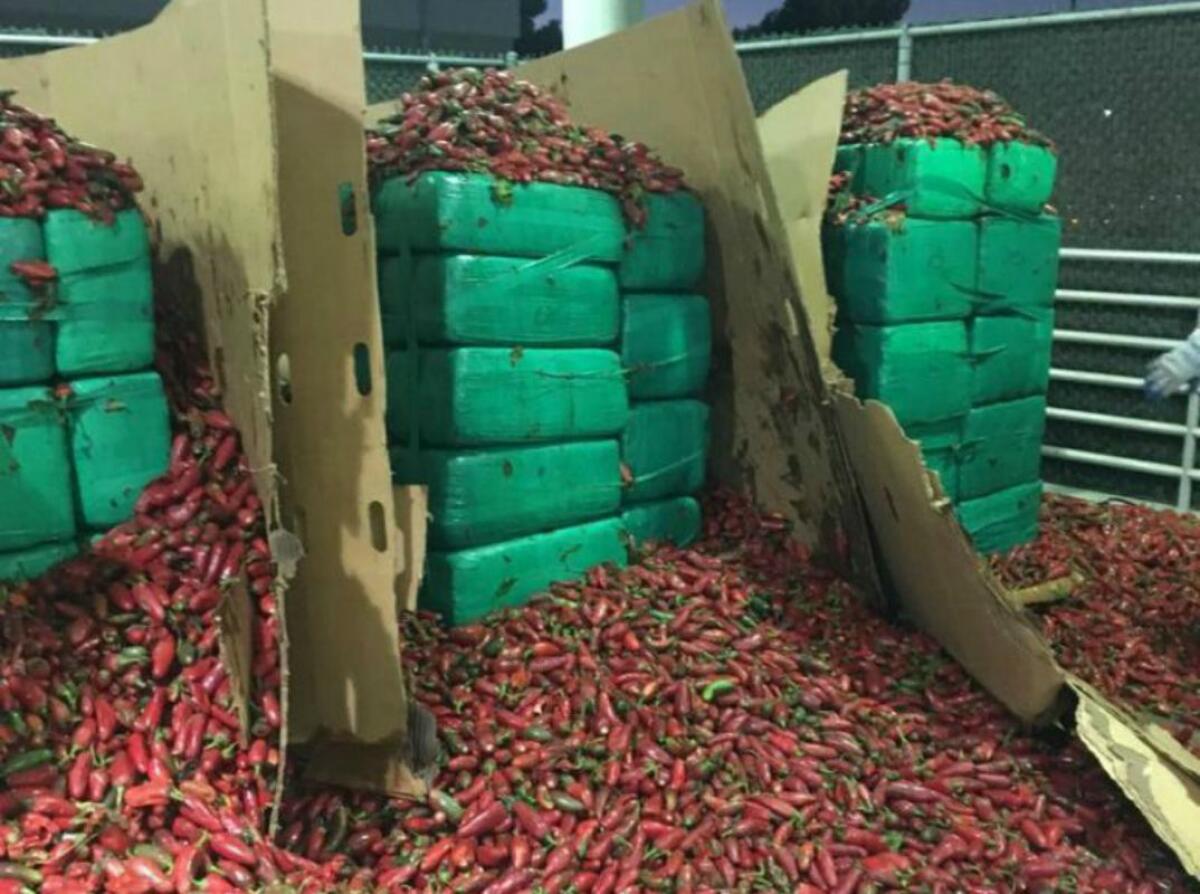 Imagen difundida por Oficina de Aduanas y Protección Fronteriza de Estados Unidos: se observan casi 4 toneladas de marihuana incautadas en Otay Mesa, California.
