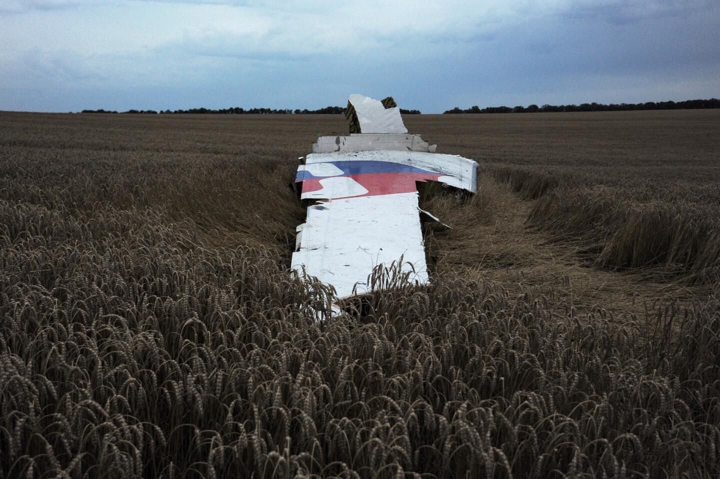 Malaysia Airlines jet crashes in Ukraine