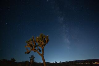The Milky Way hanging over Joshua Tree National Park on Sept. 16, 2023.