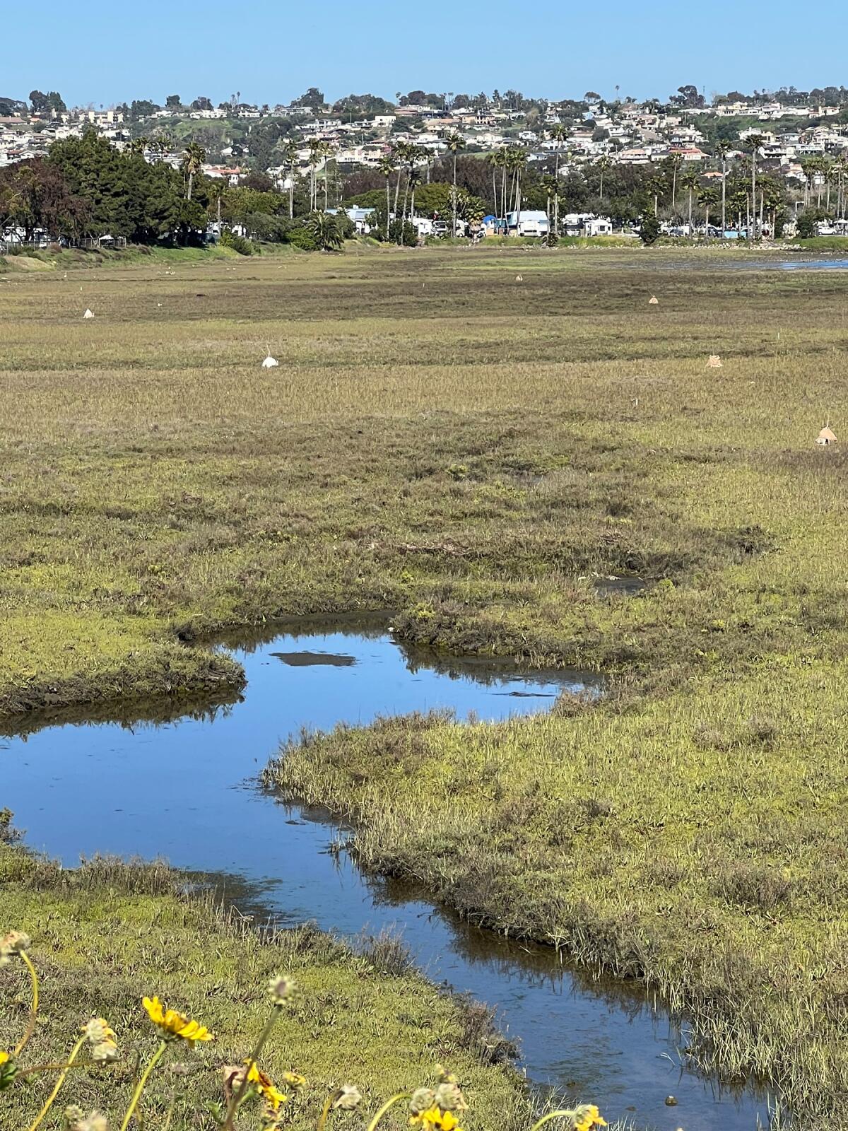 The Kendall Frost Marsh in Mission Bay.