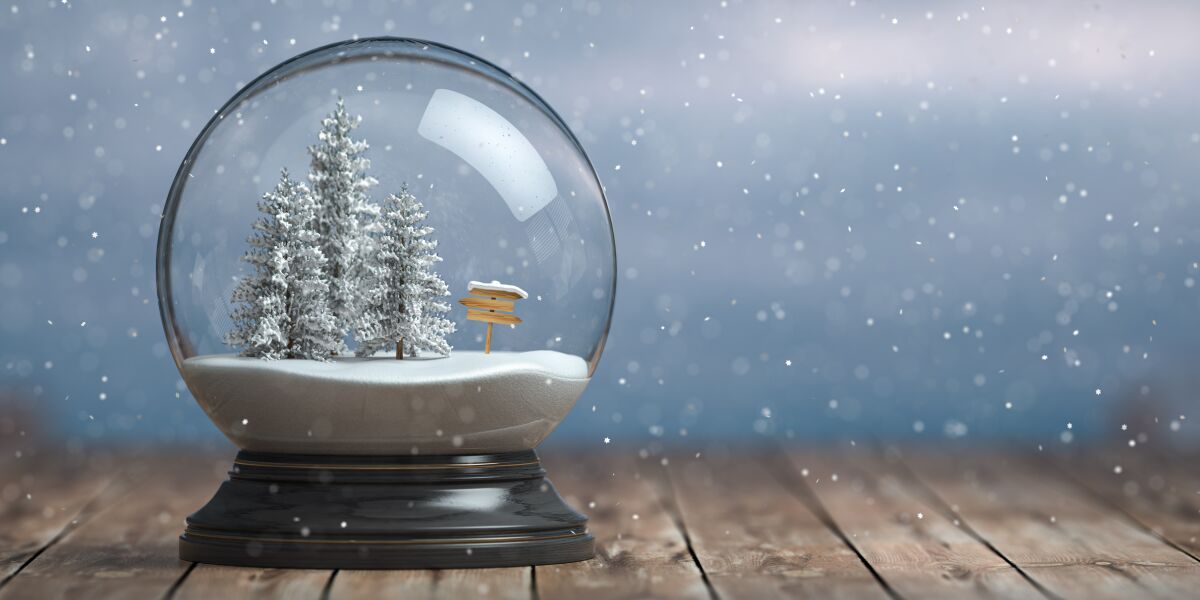 A snow globe with evergreen trees and a directional sign inside sit on a wooden table.