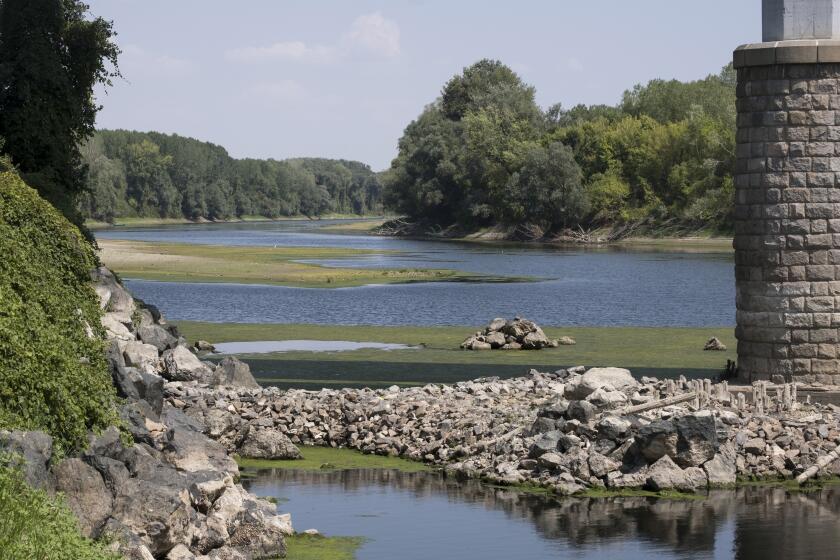  A view of the Danube river, second longest river in Europe, as it has reached historically low levels after extreme drought 