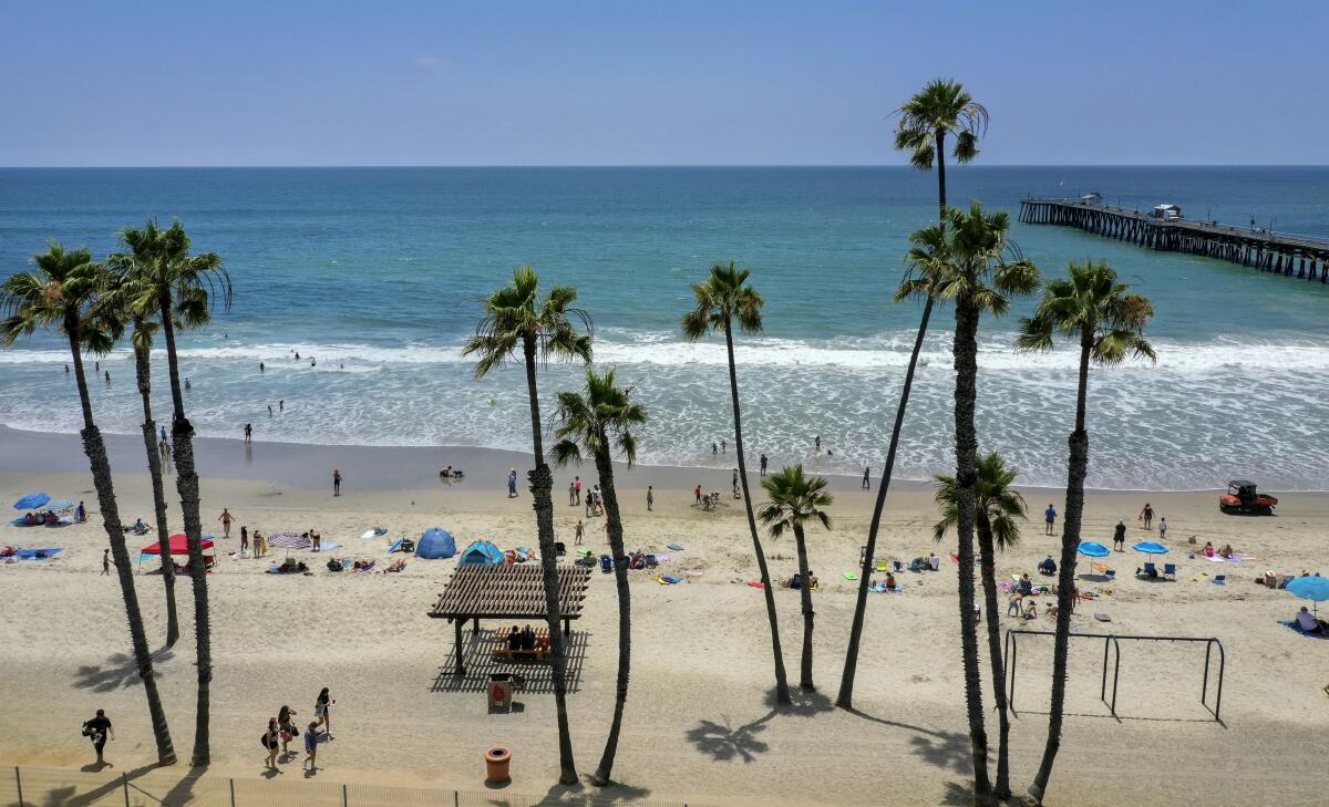 A sunny view of the beach, ocean and pier in San Clemente, with beachgoers and palm trees