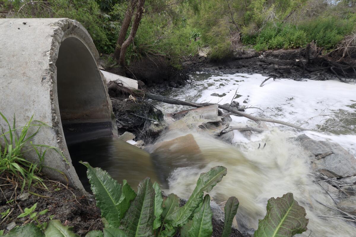 Water from the Tijuana River flows out of the pipeline