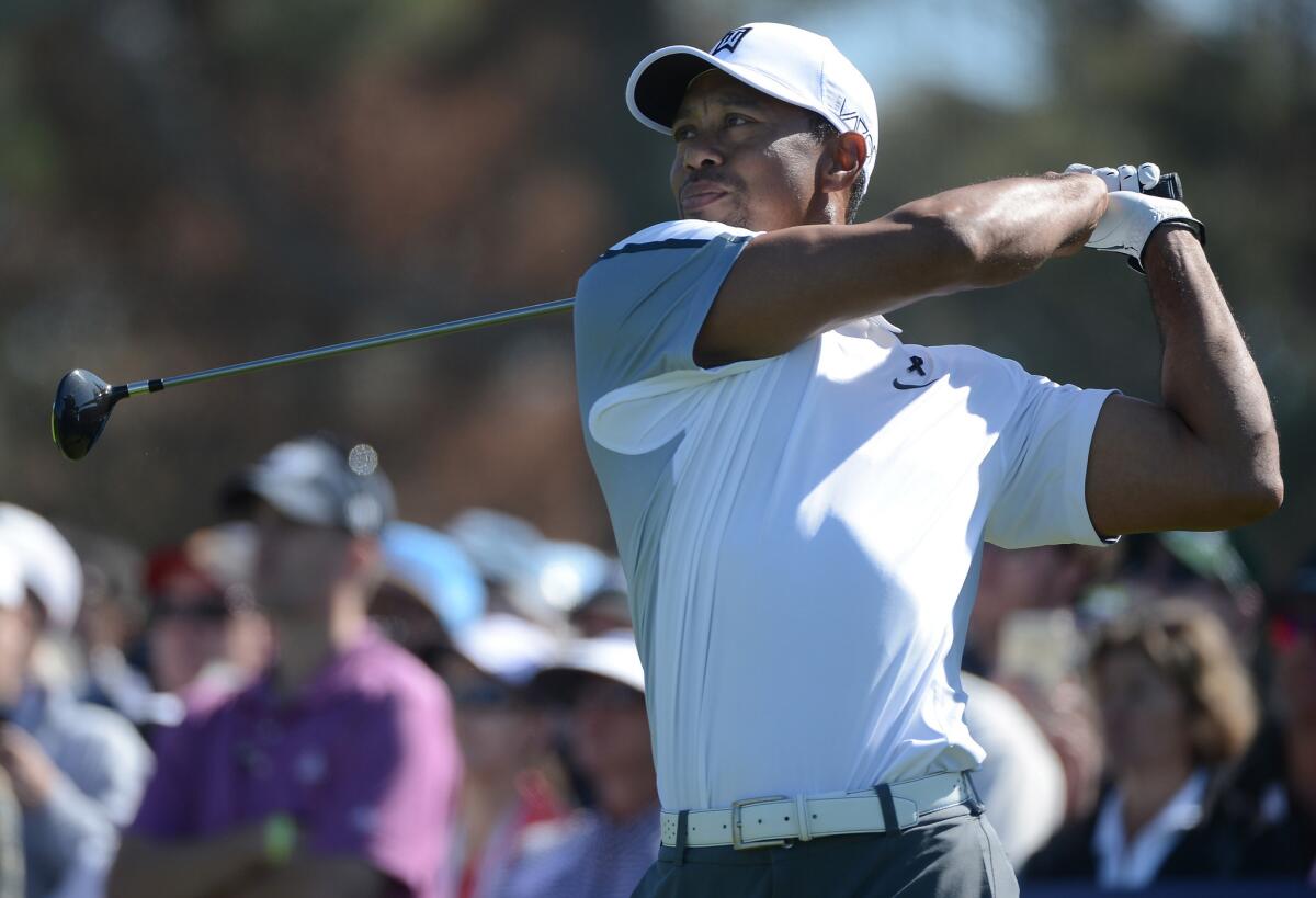 Tiger Woods will miss the upcoming Honda Classic as his indefinite leave continues while the former No. 1 golfer in the world tries to make his game tournament worthy.