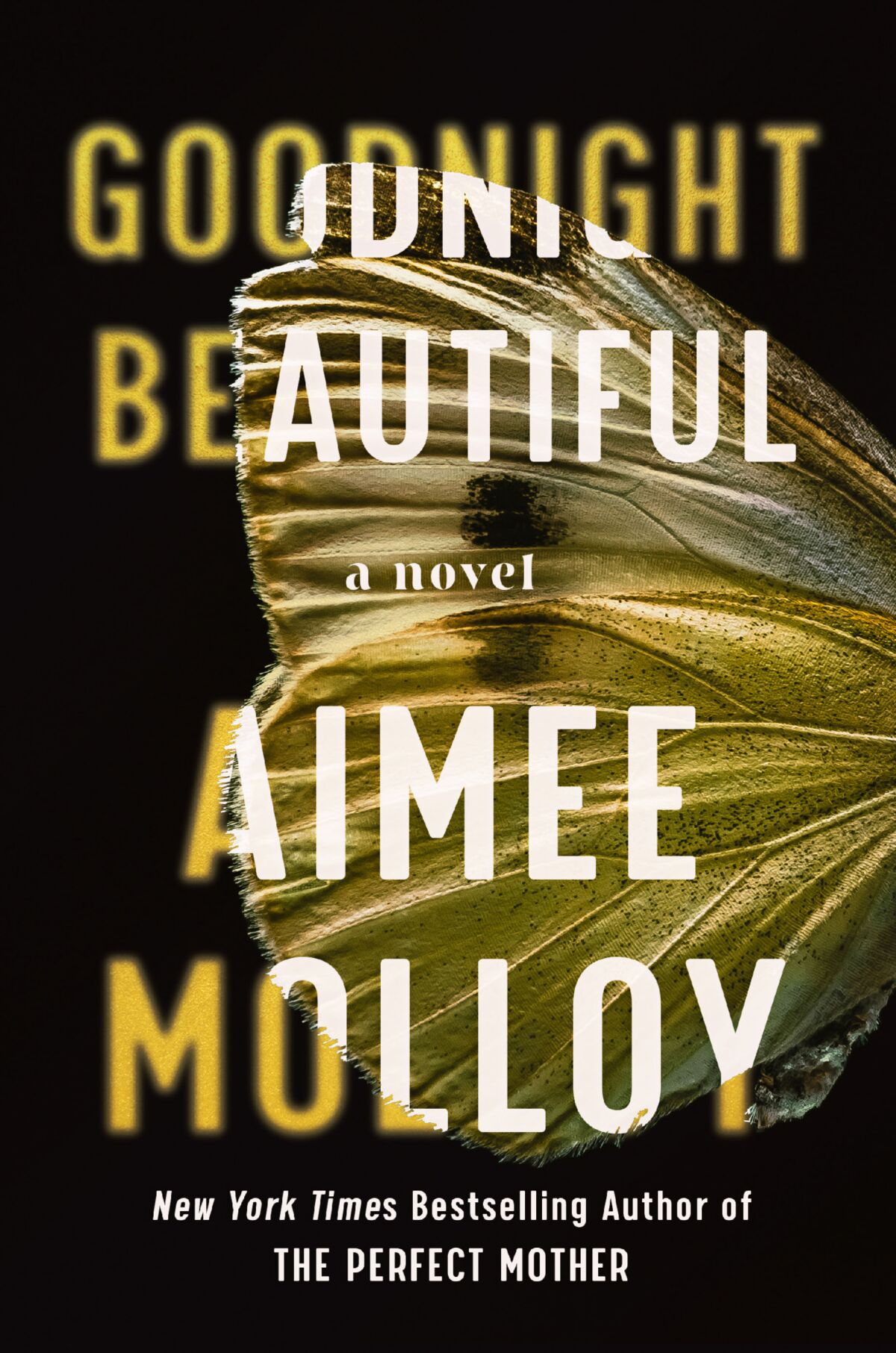 This cover image released by Harper shows "Goodnight Beautiful," a novel by Aimee Molloy. (Harper via AP)