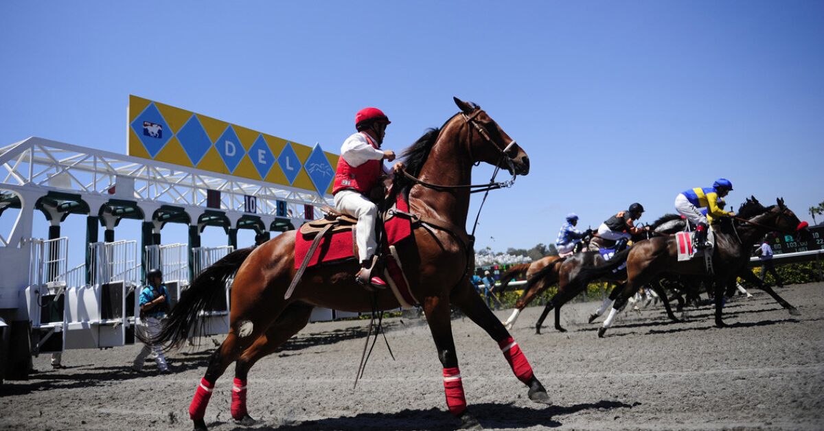 An outrider watches as horses leave the gate during the opening day of horse racing at the Del Mar Race Track in 2013. Last year the club was among entities that gave lawmakers free tickets.