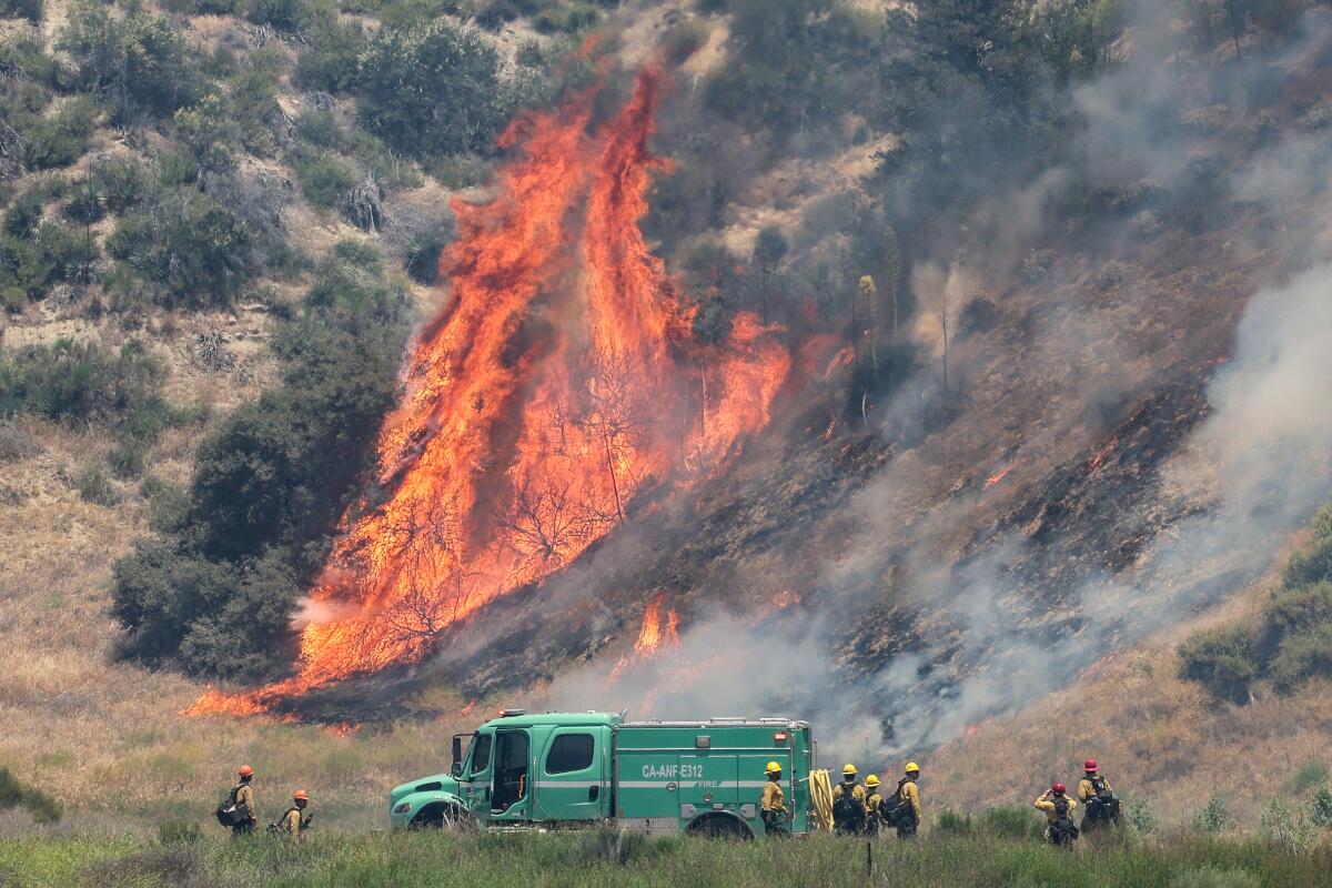 A fire rages on a hillside, with firefighters and a truck at the bottom of the slope.
